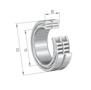 SL185060-A-BR-C3-2S-Ċilindriku Roller Bearing